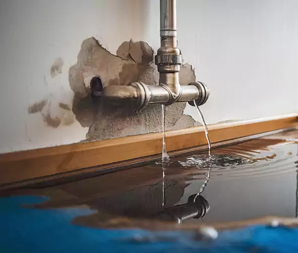 Professional Water Damage Restoration Experts in DeSoto, TX — Fast, Reliable & Certified