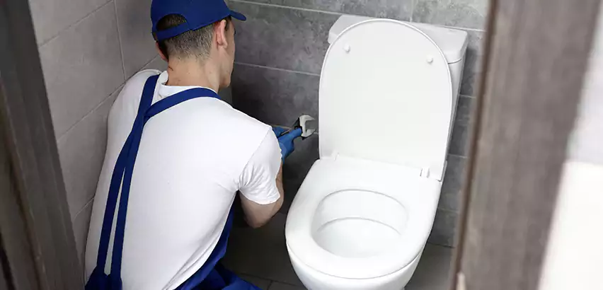 Toilet Lid Replacement in DeSoto