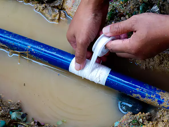  Why Choose DeSoto Plumbing Pro for Leak Detection in DeSoto, TX?]