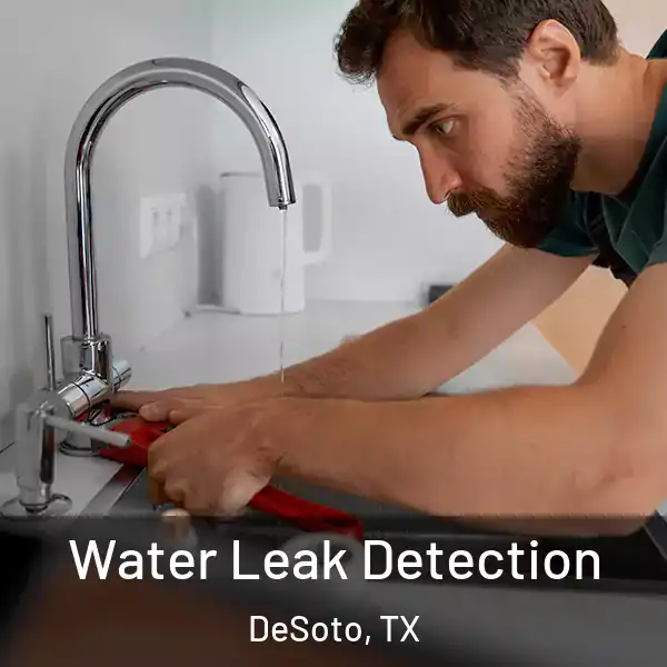  Water Leak Detection DeSoto, TX